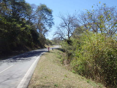 Route/Ruta 9.